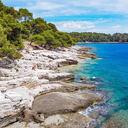 Ξενοδοχείο με διαμερίσματα Beautiful For Two With A Pool Rovinjsko Selo